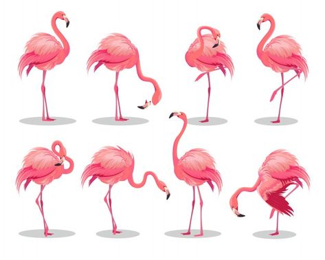 Hand Cartoon, Flamingo Craft, Flamingo Illustration, Pink Flamingos Birds, Simple Flyer, Floral Logo Design, What Is A Bird, Salon Art, Flamingo Bird