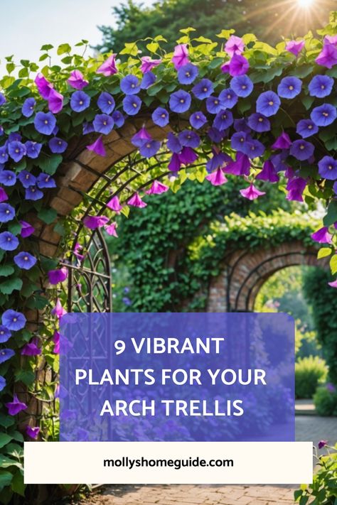 Explore a variety of beautiful plants that are perfect for your arch trellis! Whether you're looking for the best plants for arch trellis or simply seeking inspiration for your trellis garden, this collection offers a range of options to suit your style and preference. From delicate climbing roses to vibrant clematis, there are plenty of choices to create a stunning vertical garden feature. Diy Plant Arch, What To Grow On Arch Trellis, Clematis Trellis Ideas, Diy Garden Arch, Trellis Arch, Climbing Roses Trellis, Cottage Core Garden, Clematis Trellis, Climbing Clematis