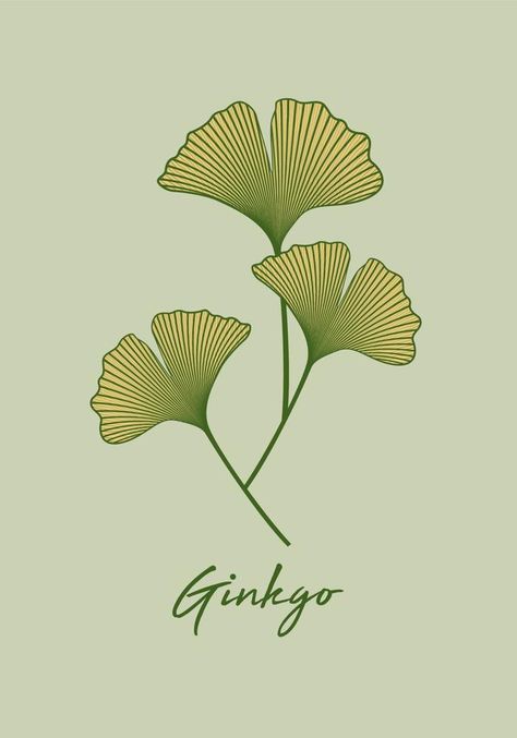 Set Ginkgo biloba leaf isolated on green background. Hand drawn leaves. Logo design vector botanical illustration Ginkgo Leaf Illustration, Ginkgo Biloba Illustration, Ginkgo Illustration, Leaves Logo Design, Botanical Vector, Leaves Logo, Drawn Leaves, Hand Drawn Leaves, Illustration Advertisement