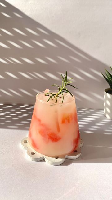 Mint_n_brew on Instagram: "Watermelon yakult soda🍉 . The Perfect summer drink this drink is so refreshing and creamy at the same time love the flavours. . Recipe: Watermelon🍉 7up/sparkling water/sprite Yakult Rosemary for garnish . #watermelon #watermelondrink #watermelonsummerdrink #summerdrink #summerdrinks #summerdrinks🍹 #refreshing #refreshingdrink #soda #watermelonsoda #sodadrink #homebarista #homebaristalife #homebaristaclub #prettydrinks #koreanaesthetic #koreandrink #cafevibes #homeca Watermelon Summer Drinks, Yakult Drink, Kitchen Princess, Water Sprite, Korean Drinks, Melon Soda, Buah Naga, Watermelon Drink, Perfect Summer Drink