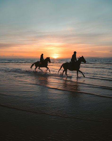 Horseback Riding Aesthetic, Horse Couple, Foto Cowgirl, Equestrian Aesthetic, Cute Horse Pictures, Horse Wallpaper, Horse Aesthetic, Cute Horses, Horse Life