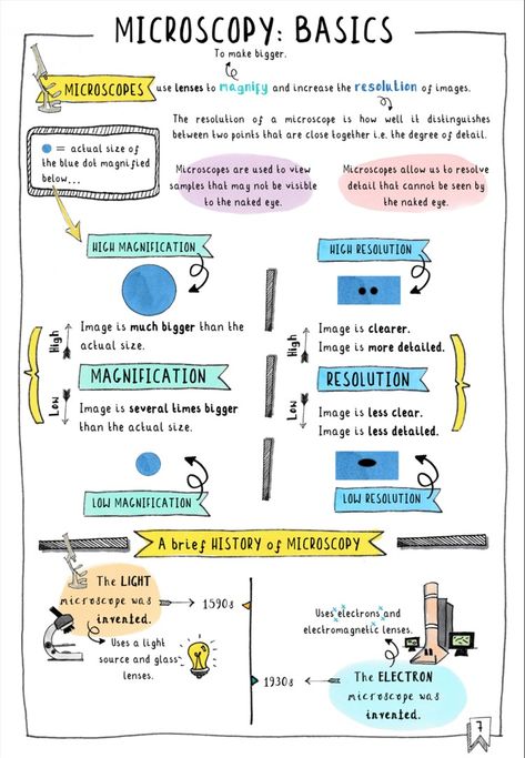 Get your FREE GCSE Biology Revision notes on microscopy. These colourful sketchnotes are a sample of Doctor Me Clever's guide to Edexcel 9-1 GCSE Biology Topic 1 Key Concepts in Biology. Now available as an ebook (doctormeclever.com) or paperback on amazon. #edexcel #aqa #biology #microscopy Gcse Biology Revision Notes, Biology Revision Notes, Gcse Science Revision, Future Healthcare, Gcse Biology, Biology Poster, Health Economics, Science Revision, Healthcare Infographics