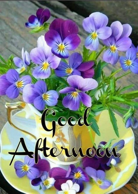 Good Afternoon Sunday, Afternoon Pictures, Have A Nice Afternoon, Wonderful Day Quotes, Fijian Food, Afternoon Messages, Afternoon Wishes, Good Afternoon Images, Afternoon Images