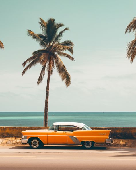 Vintage Photo of Cadillac Coupe de Ville #photo #vintage #cadillac #cadillac #beach #cuba #1960s #1970s #palmtrees #drive Bonito, Vintage Beach Photos 1960s, 1950s Beach Aesthetic, Cadillac Aesthetic, 60s Beach Aesthetic, Retro Beach Aesthetic, Cuba Aesthetic, Old Cadillac, 1960s Aesthetic