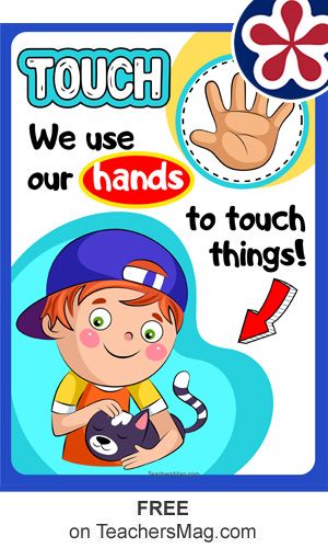 Touch: We use our hands to touch things! These 5 Senses Posters for Preschoolers will get little learners exploring the science center by using all five senses. Senses Display, 5 Senses Preschool, Body Parts Preschool Activities, Five Senses Preschool, 5 Senses Activities, Phonics Reading Passages, Senses Preschool, Body Parts Preschool, Preschool Prep