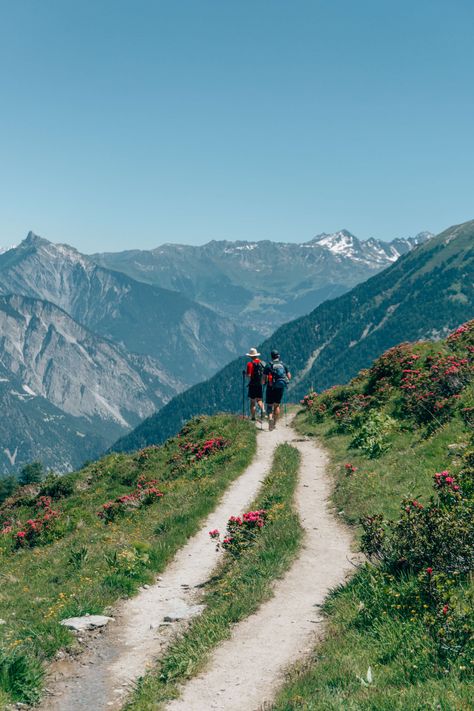 Mont Blanc, Alps Aesthetic, Hiking Aesthetic, Adventure Aesthetic, Dissociation, Granola Girl, Outdoor Photos, The Alps, Dream Lifestyle