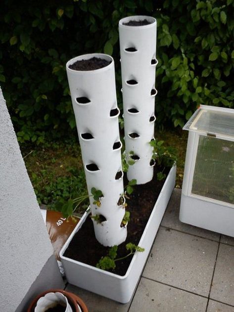 Vertical Planter Diy, Vertical Vegetable Garden, Vertical Herb Garden, Vertical Planter, Bottle Garden, Hydroponic Gardening, Diy Planters, Garden Diy, Vertical Garden