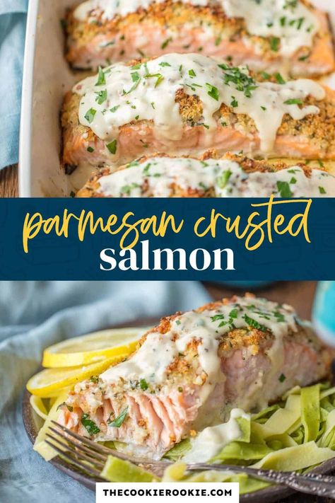 Parmesan crusted salmon is drenched in an amazing white wine sauce. This dijon salmon is such a flavorful meal and super easy to make, too.