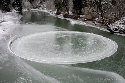 Photos of a Natural Ice Circle Spinning in a River Optical Phenomena, Colossal Art, Atmospheric Phenomenon, A Perfect Circle, Natural Phenomena, Blow Your Mind, Land Art, Environmental Art, Mother Nature