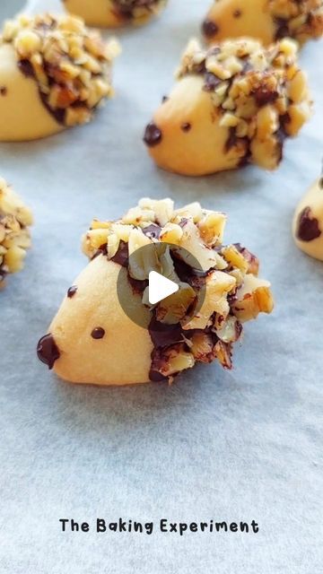 Hedgehog Cookies, Buzzfeed Tasty, Fall Cookies, Shortbread Cookies, Cute Cookies, Cute Food, Food Network Recipes, Snacks