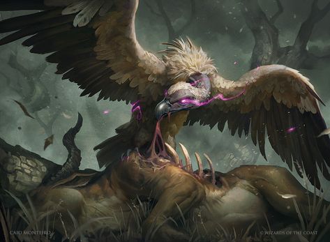 Gorging Vulture, Caio Monteiro on ArtStation at https://www.artstation.com/artwork/aR6vkq Vulture Drawing, Drawing A Bird, Drawing Creepy, Magic Inspiration, The Symbiotic Relationship Between, Magical Animals, The Vulture, Mythical Monsters, Fantasy Creature