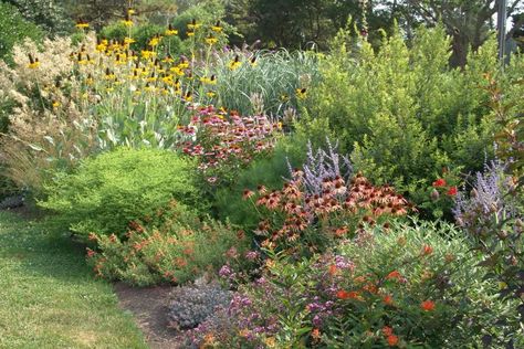 5 Benefits to Landscaping with Low Maintenance Native Plants Florida Plants Landscaping, Cottage Landscaping, Low Maintenance Landscaping Front Yard, Native Plant Landscape, Landscaping Shrubs, Garden Plot, Low Maintenance Shrubs, Florida Plants, Native Plant Gardening