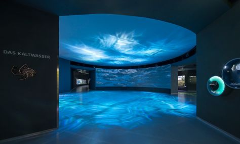 3XN: blue planet aquarium open to the public Blue Planet Aquarium, Planet Pictures, Aquarium Architecture, Ceiling Projector, The Blue Planet, Water Effect, Blue Planet, Aquarium Design, New Museum