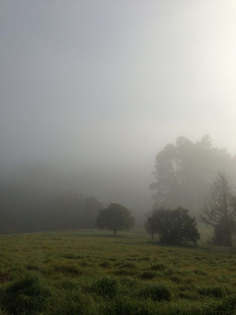 Rainy Field, Misty Field, Foggy Weather, Misty Forest, Foggy Morning, Dark Soul, My Place, Scaffolding, English Countryside