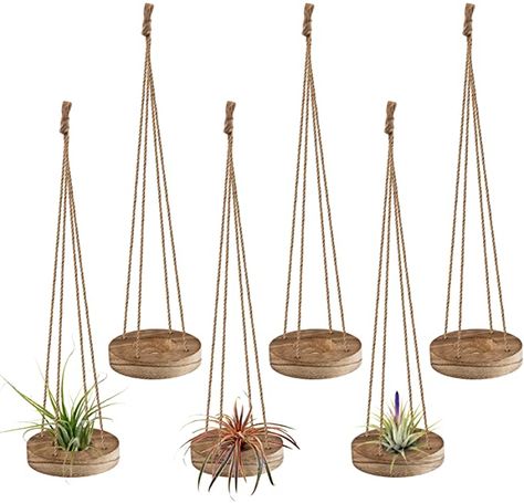 Amazon.com: 6 Pcs Hanging Wooden Air Plant Holder - 3" Round Wooden Air Plant Hanger with Jute Ropes, Rustic Air Plant Stand Tillandsia Succulent Display Container for Home Office Decor Housewarming Gift : Patio, Lawn & Garden Air Fern, Air Plant Hanger, Succulent Display, Support Pour Plante, Support Plante, Burnt Wood, Hanging Plant Holder, Mini Cactus, Small Succulents