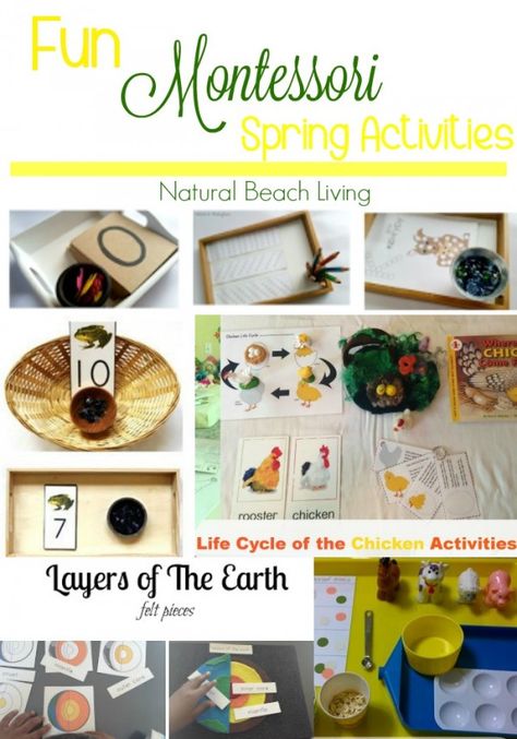 Montessori Spring, Math Alphabet, Montessori Trays, Montessori Activities Preschool, Spring Activities For Kids, Preschool Spring, Montessori Lessons, Toddler Montessori, Montessori Diy