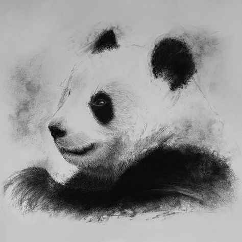 Panda Sketch, Mr Bean Cartoon, Charcoal Artwork, Cool Panda, Panda Drawing, Drawing Charcoal, Soul Design, Charcoal Sketch, Bamboo Leaves