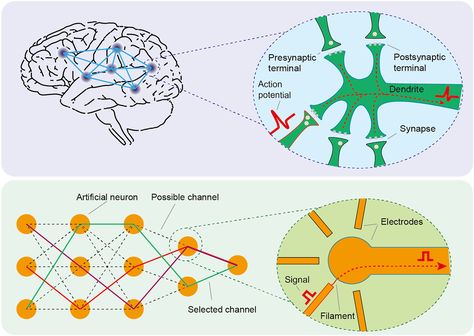 Quantum imaging of the reconfigurable VO2 synaptic electronics for neuromorphic computing Neuromorphic Computing, Quantum Computing, Electric Field, Signal Processing, Quantum Computer, Magnetic Field, Neuroscience, Dream Job, Science And Technology