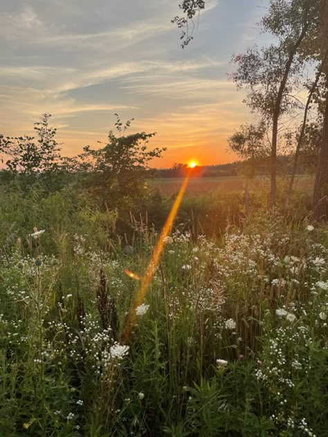 Outside Athstetic, Nature Playlist Covers, Folk Aesthetic Indie, Folk Vibes Aesthetic, Flowery Fields Aesthetic, Field Asthetic Picture, Paisley Core Aesthetic, Haylie Aesthetic, Islacore Aesthetic