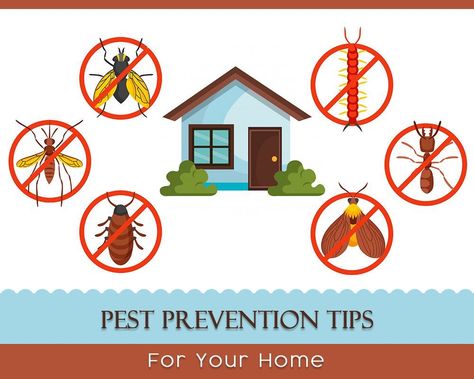 Pests🦟🦟🦟🐛🐛 aren't simply a nuisance, they can severely affect your health and the health of your 👨‍👩‍👦family. Here are 8 simple things you can do around your 🏠home to prevent an infestation. #pestcontrol #Homepestcontrol #gharpedia Ant Infestation, Pest Prevention, Best Pest Control, Bed Bug, Pest Management, Workshop Organization, Pest Control Services, Bed Bugs, Garden Pests