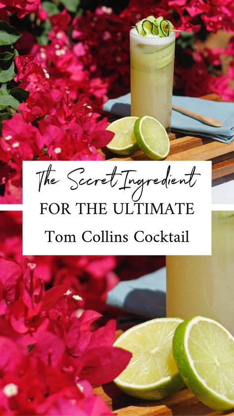 Tom Collins Cocktail Recipe Tom Collins Drink Recipes, Keto Friendly Drinks, Gin Collins, Tom Collins Recipe, Tom Collins Cocktail, Cocktails With Vodka, Collins Cocktail, Tequila Cocktail, Lime Recipes