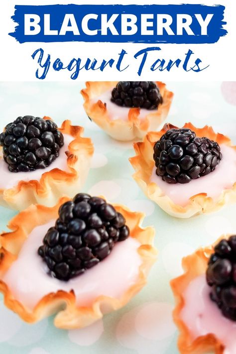 Blackberry Yogurt Tarts Recipe - Outnumbered 3 to 1 Homemade Nuggets, Phyllo Shells, Yogurt Tart, Banana Walnut Muffins, Blackberry Yogurt, Mini Fruit Pizzas, Chick Fil A Nuggets, Copycat Chick Fil A, Honey Mustard Dipping Sauce