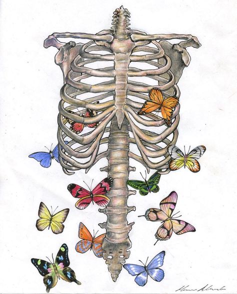 Biology Drawing, You Give Me Butterflies, Skeleton Drawings, Give Me Butterflies, Skeleton Art, Butterfly Drawing, Art Drawings Sketches Creative, Anatomy Art, Book Art Drawings