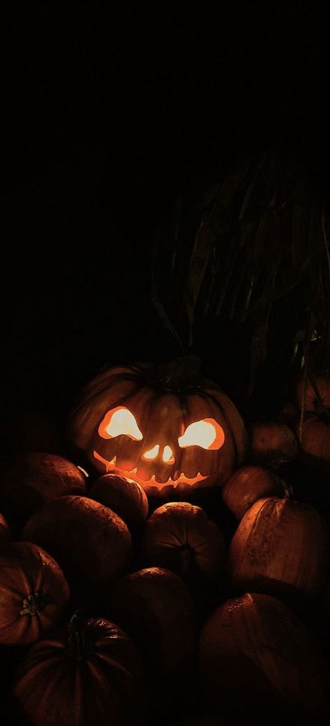 Fall Halloween Aesthetic Wallpaper Iphone, Helloween Wallpaper Aesthetic Dark, Halloween Aesthetic Phone Wallpaper, Helloween Wallpaper Iphone, Fall Spooky Wallpaper, Halloween Fall Aesthetic Wallpaper, Halloween Wallpaper Spooky Season, Hollowed Backgrounds, Spooky Halloween Iphone Wallpaper