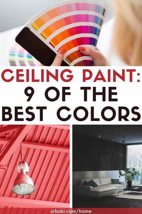 Ceiling Paint Ideas, Don't Get Too Attached, Colourful Ceiling, Painted Ceiling Ideas, Coloured Ceiling, Best Ceiling Paint, Ceiling Colors, Colorful Ceiling, Ceiling Paint Colors