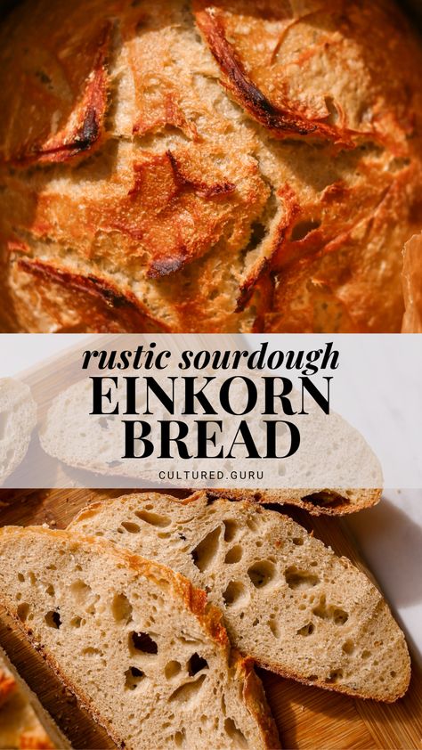 Discover the rustic charm and amazing flavors of sourdough einkorn bread. This recipe blends organic einkorn flour with organic bread flour for the best results. #einkorn #bread #sourdough Simple Sourdough Bread, San Francisco Sourdough, Einkorn Bread, Simple Sourdough, Einkorn Recipes, Bread Toppings, Organic Bread, Einkorn Flour, Sourdough Starter Recipe