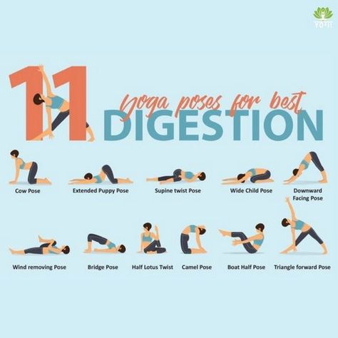 Yoga: Your Key to Mindful Weight Loss Yoga Poses For Digestion, Digestion Yoga, Yoga Information, Yoga Facts, Beginner Yoga Workout, Beginners Yoga, Easy Yoga Poses, Partner Yoga, Yoga Positions