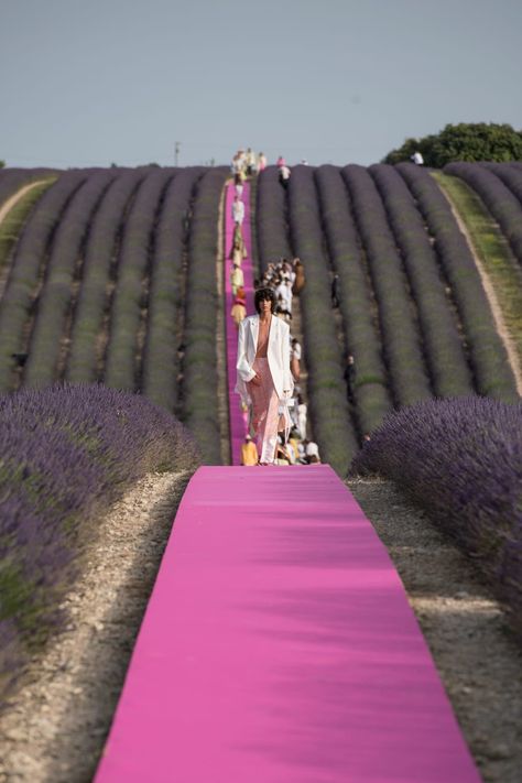 Jacquemus Summer, Fashion Show Set Design, Pink Runway, Fashion Show Design, Simon Porte Jacquemus, Hot Pink Blazers, Lavender Field, Anniversary Event, Pink Carpet