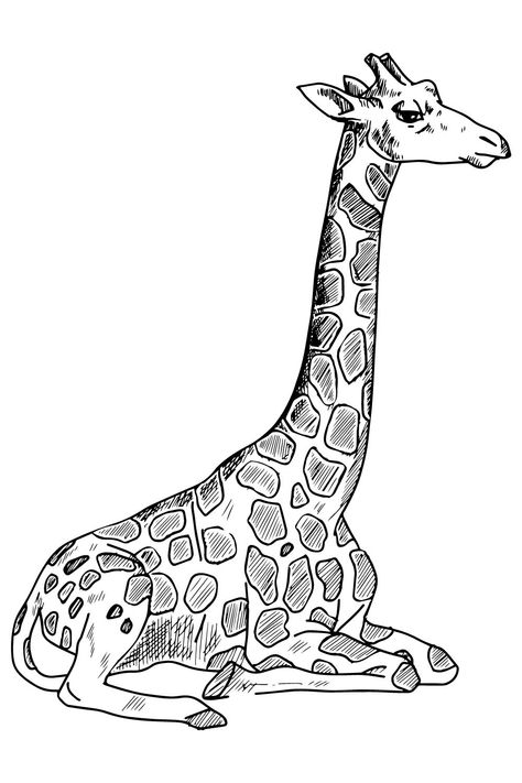 #Giraffe #Giraffe Sketch #sketch drawings #sketch #sketch drawing #sketches #sketching #sketch pencil #sketch pencils #sketched drawings #sketching drawing #sketches drawings #sketches drawing #sketch draw #sketches pencil #sketching pencils #sketches to draw #sketch to draw #sketch ideas #sketches easy #sketch book #sketches ideas #drawing #drawing ideas #drawings #draw #drawing tutorial #drawing easy #drawings ideas #drawing art #drawing faces #drawing Giraffe Tattoo Stencil, Girrafe Aesthetic Drawing, Giraffe Drawing Simple, Giraffe Drawing Realistic, Giraffe Sketches, Giraffe Drawing Easy, Easy Giraffe Drawing, Sketched Drawings, Easy Drawings Ideas