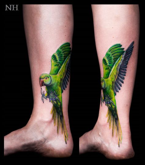 Had a rare opportunity to use neon green today. Indian Ring-neck Parakeet behind an existing tattoo. Good times. Green Parrot Tattoo, Belize Tattoo, Parakeet Tattoo, Parrot Tattoos, African Sleeve Tattoo, Hart Tattoo, Indian Tattoos, Parrot Tattoo, Roots Tattoo