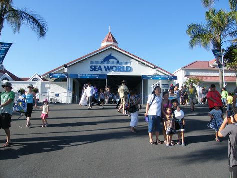 Sea World, Gold Coast Sea World Gold Coast, Gold Coast Theme Parks, Cleo Sertori, Brisbane City, Gold Coast Australia, Sea World, Theme Parks, Sunshine Coast, Water Park