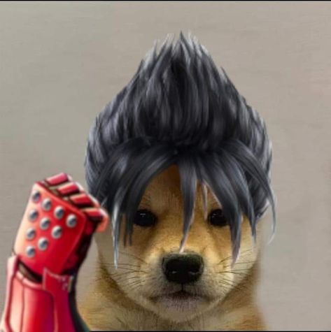 Pfp Gamer, Tekken 7 Pfp, Tekken Jin, Tekken Profile Picture, Tekken Icons, Jin Kazama Pfp, Tekken Pfp, Jin Kazama Icon, Tekken Funny