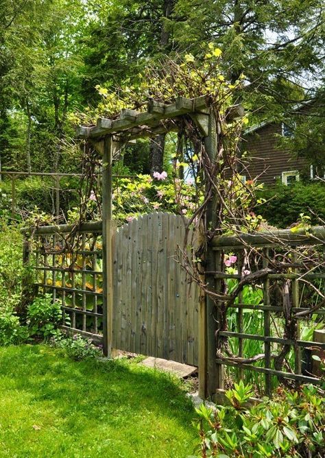 Outdoor Transformation, Tor Design, Garden Gates And Fencing, Fairytale Garden, Garden Gate Design, Enchanted Gardens, Wooden Gate, Jardim Diy, Garden Vines