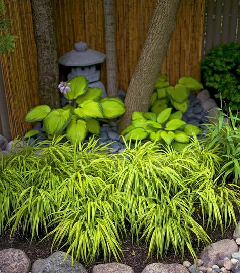 Japanese Garden Plan Drawing, Dry Creek Bed Landscape Front Yards, Japanese Zen Garden Landscaping, Backyard Corner, Hakone Grass, Japanese Gardens Design Ideas, Japanese Garden Decor, Small Japanese Garden, Japanese Style Garden