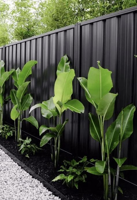 a black metal fence with a garden bed and tropical plants are a refined and chic combo for a modern tropical garden Modern Tropical Garden, Fence Landscaping Ideas, Black Metal Fence, Tropical Backyard Landscaping, Tropical Landscape Design, Indoor Oasis, Tropical Garden Design, Enchanting Garden, Tropical Backyard