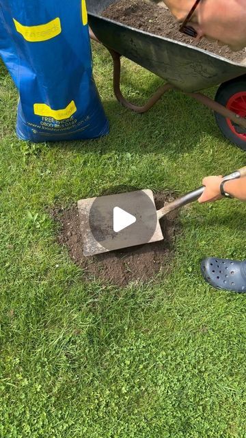 Tom Strowlger on Instagram: "Summer Lawn care 🌱

Moles are very active this year, more than previous years. So here’s how to repair the lawn in the aftermath of their mound creating work. You can of course use this technique for general lawn repairs. 

I’ve got a 10% discount promo code GWTLAWN2024 for you at www.bostonseeds.com @bostonseeds on lawn seed, fertiliser, mini handheld spreader and lawn drop spreaders 👍

I do love a lush green healthy lawn all year round 🌱

#gardener #garden #gardening #flowers #flower #plants #gardens #gardendesign #gardenersofinstagram #gardeningtips #mygarden #gardeninspiration #gardensofinstagram #gardenlove #gardeners #instagarden #plantsofinstagram #gardenwithtom #lawn #lawncare #lawnmaintenance #lawnservice #lawncarelife #lawnfawnatics #lawncarenut #l Summer Lawn Care, Lawn Repair, Seeding Lawn, Lawn Service, Healthy Lawn, Flower Plants, Gardening Flowers, Summer Lawn, Lawn Maintenance