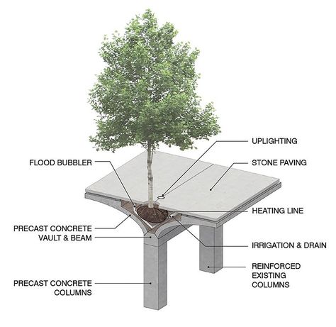 studio mmk floating forest Floating Forest, Masterplan Architecture, Construction Details Architecture, Forest Studio, Site Analysis Architecture, Bridge Structure, Tree Structure, Concrete Column, Urban Forest