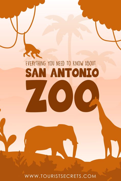 Who doesn’t love a good day out in the zoo? There is no such thing as being too old to enjoy wildlife and, whether you are coming with family or solo, San Antonio Zoo promises you the best experience you will ever have!   Zoo, Adventures, Travel Destination, Vacation, USA San Antonio Zoo, Zoo Trip, Destination Vacation, Warm Springs, In The Zoo, Vacation Usa, Awesome Places, T Love, The Zoo