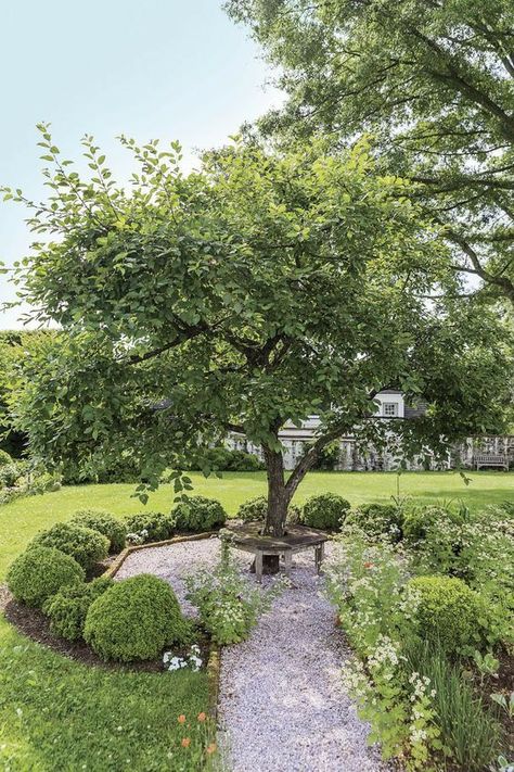 Focal Point Garden, Cottage Garden Design, Gravel Garden, Low Maintenance Landscaping, Big Garden, Casa Exterior, Garden Trees, Raised Garden, Backyard Landscaping Designs