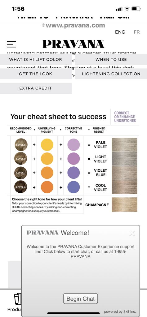 Pravana Hair Color Formulas, Pravana Toner Formulas, Pravana Color Formulas, Pravana Hair Color Chart Chromasilk, Pravana Formulas, Purple Toner, Toner Formulas, Hair Brunettes, Pravana Hair Color