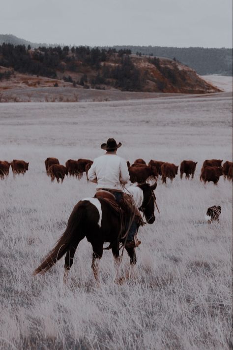 Cade Eaton, Montana Aesthetic, Country Romance, Romance Aesthetic, Maladaptive Daydreaming, Cowboy Romance, Cowboy Aesthetic, Western Romance, Small Town Romance