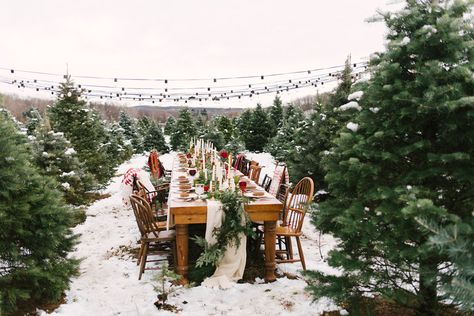 Winter Wedding Tree, Christmas Tree Farm Wedding, Tree Farm Wedding, Winter Wedding Planning, Wedding Reception Planning, Snowy Christmas Tree, Wedding Tree, Farm Wedding Venue, Winter Wedding Inspiration