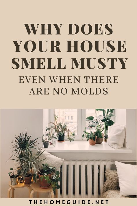 Musty Smell In House, Deodorize House, Smell Good Naturally, Old House Smells, Basement Odor, Clean House Smell, Make Your House Smell Good, Mold Smell, Make Your House Smell Amazing