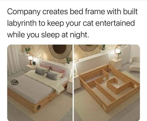 Labyrinth, Future House, Cat Memes, Bed Frame, Storage Bench, Toddler Bed, Home Diy, Dream House, Room Decor