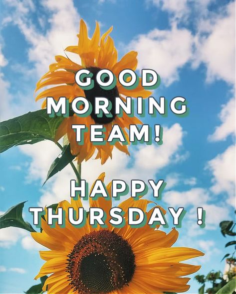 Good Morning Team, Good Morning Happy Thursday, Good Morning Happy, Great Team, Happy Thursday, Morning Images, Banners, Good Morning