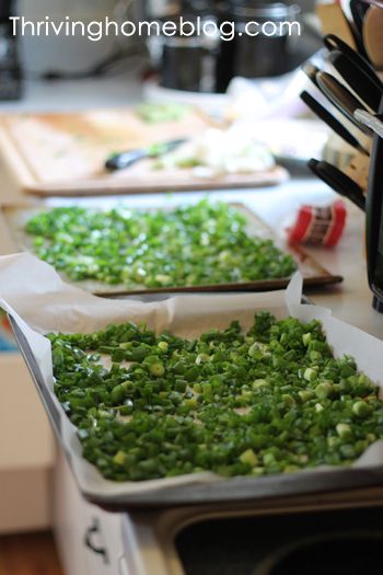 Freeze Green Onions. You can preserve fresh green onions.  Clean them, then chop them up.  Spread them on a pan and flash freeze.  Then bag or bottle them up them for the freezer.  Author says they will not be crispy as originally, but they will be useful for cooking purposes. Freeze Green Onions, Freezing Onions, Vegetables Ideas, Freezing Vegetables, Thriving Home, Arroz Frito, Freeze Greens, Frozen Foods, Frozen Veggies